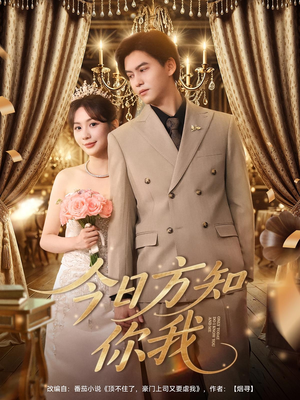 今日方知你我（100集）短剧介绍