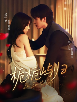 栀栀屿归（80集）一起追生活短剧