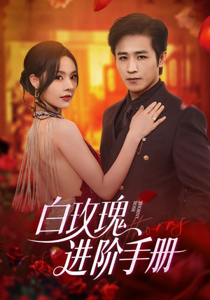 白玫瑰进阶手册（64集）免费观看全集