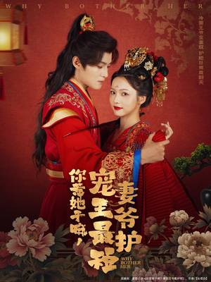 你惹她干嘛，宠妻王爷最护短（74集）更新时间一览表