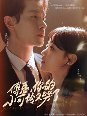 傅总你的小可怜又哭了（80集）免费看全集