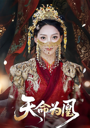 天命为凰（69集）全集我都看完了
