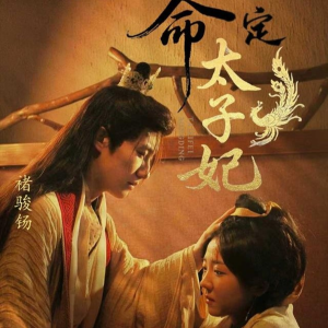 命定太子妃（63集）网络小短剧