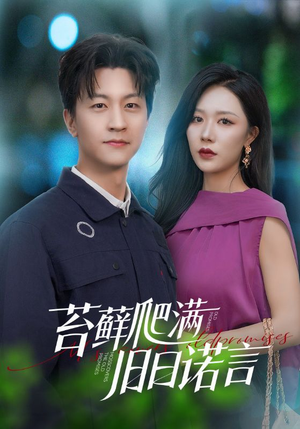 情途难负（83集）精彩不断免费看