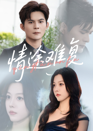 情途难复（50集）好看的短剧来了