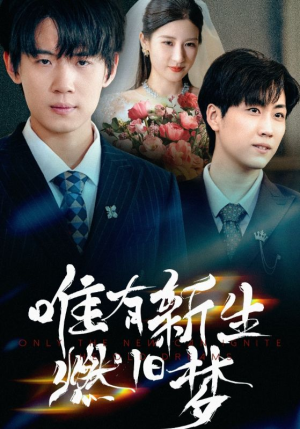 唯有新生燃旧梦（55集）红果短剧看全集