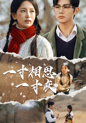 一寸相思一寸灰（43集）短剧解说全集