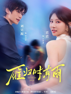 雁归时有雨（84集）全集都在这里了