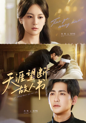天涯望断故人书（60集）夸克网盘在线看