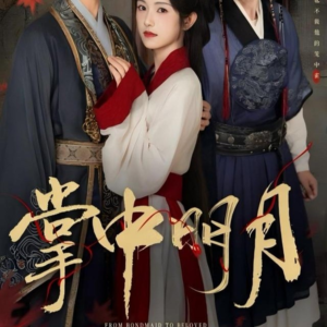 掌中明月（60集）海量资源免费看