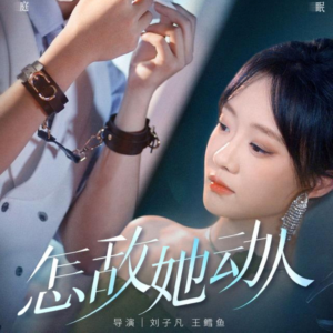 怎敌她动人（75集）经典老剧免费看