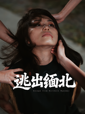 逃出缅北（62集）热播短剧免费看