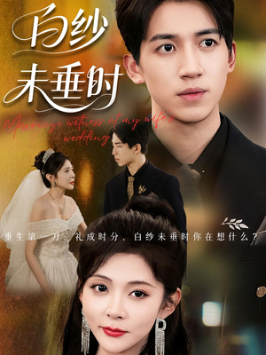 老婆婚礼，我当证婚人（54集）精彩好看短剧