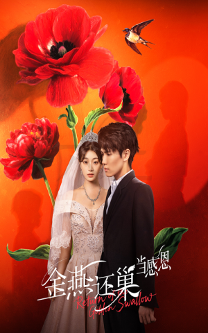 金燕还巢当感恩（55集）一个短剧看全集