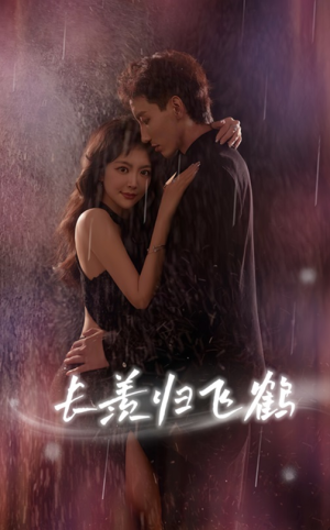 长羡归飞鹤 (70集)精彩短剧分享