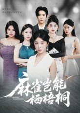 麻雀岂能栖梧桐（31集）亿万短剧抢先看