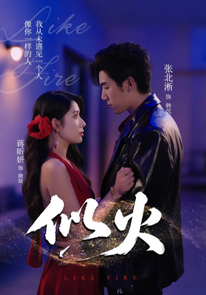 似火（80集）精彩短剧看全集