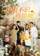 有眼不识真锦鲤（35集）夸克网盘在线看