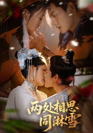 两处相思同淋雪（60集）第一集