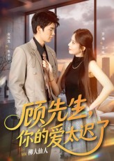 顾先生你的爱太迟了（60集）短剧也太好看了