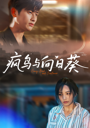 疯鸟与向日葵（40集）精彩短剧随心推