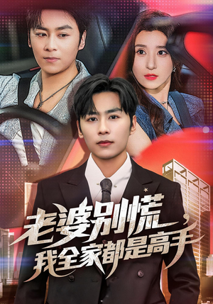婆别慌我全家都是高手（58集）分享热门短剧