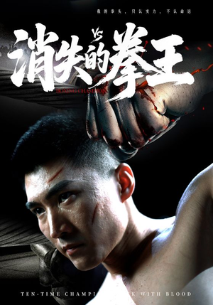 消失的拳王（72集）高质量短剧推荐