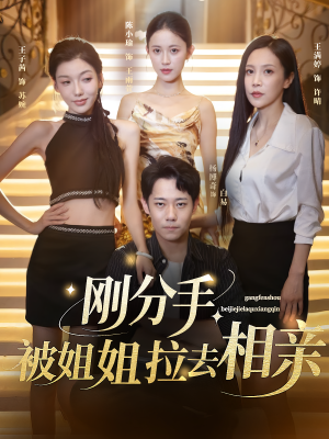 刚分手被姐姐拉去相亲（73集）短剧抢先看