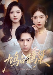 鸠占鹊巢&顶流夫人的致命陷阱（70集）全集