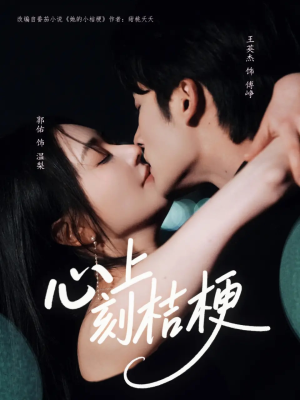 心上刻桔梗（90集）好看短剧追不停