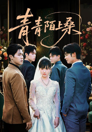 青青陌上桑（70集）小短剧抢先看