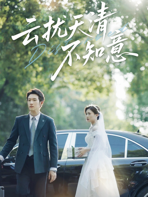 云扰天清不知意（60集）口碑之选免费看