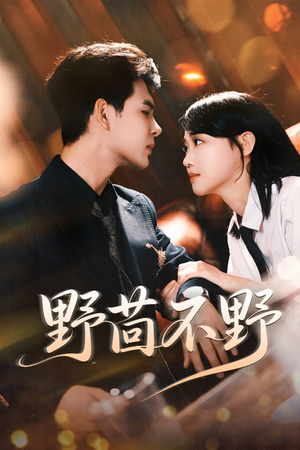 野茴不野（67集）百亿短剧抢先看