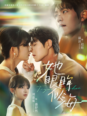 她眼眸似海（80集）看到了大结局