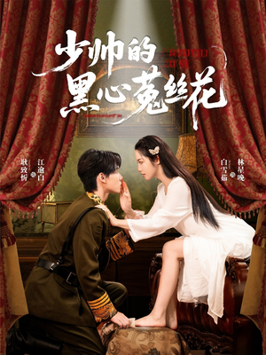 少帅的黑心菟丝花（60集）免费观看全集