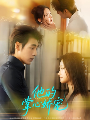 他的掌心娇宠（60集）哪个短剧网能看