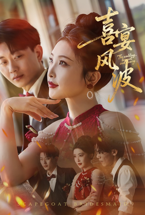 喜宴风波&替罪伴娘（30集）观看软件