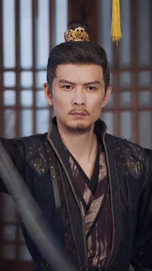 天命王侯  (80集)好看短剧追不停