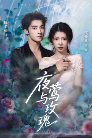夜莺与玫瑰（66集）在线观看完整版
