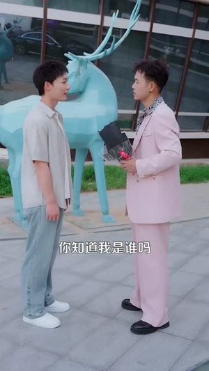 都市一品傻婿 (96集)短剧太好看了吧