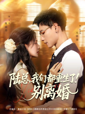 陆总我们都重生了别离婚（79集）精彩短剧随心推