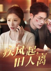 疾风起旧人离（32集）网络小短剧