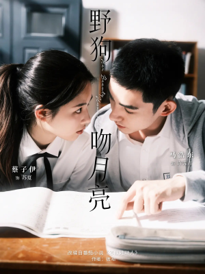 野狗吻月亮（68集）西瓜短剧免费看