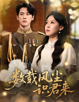 数载风尘识君来（62集）在线看免费版