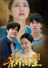 新渴望（30集）短剧推荐来了