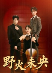 野火未央（40集）热门短剧大全