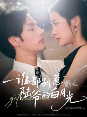 谁都别惹陆爷的白月光（79集）在哪个平台看好