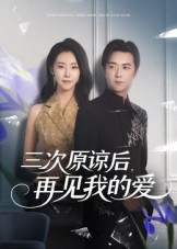 三次原谅后再见我的爱（80集）热门短剧又来了