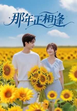 那年正相逢（60集）今日最火短剧
