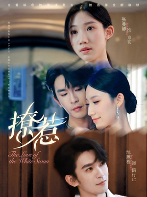 撩惹（80集）超甜短剧抢先看